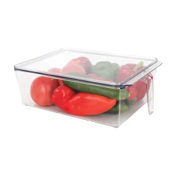 Fridge Organizer Bin with Lid | 31.5 x 20.5 x 10 cm