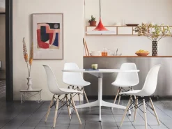 Molded Dining Chair